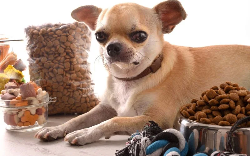 Types of Dry Dog Food
