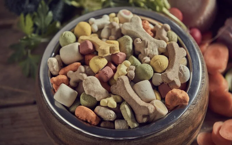 Ingredients in Dry Dog Food