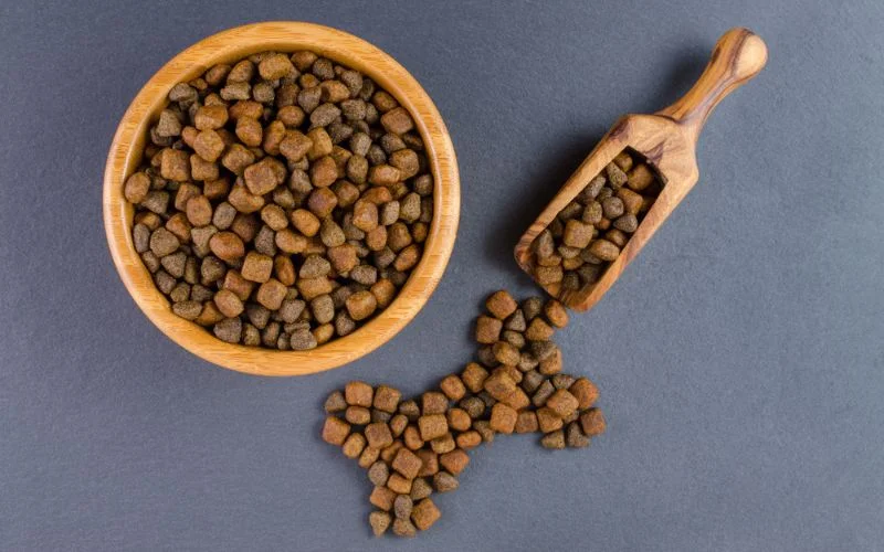 Grain-Free Dry Dog Food