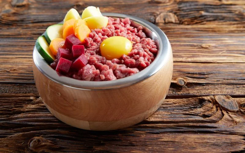 High Protein Dog Food