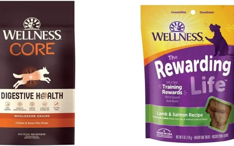 Dry Dog Food Brands for Dogs with Allergies