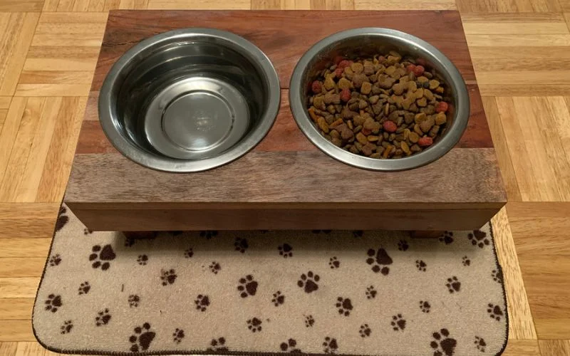 dog food mat