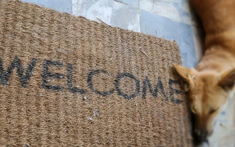Materials Are Dog Food Mats Made From