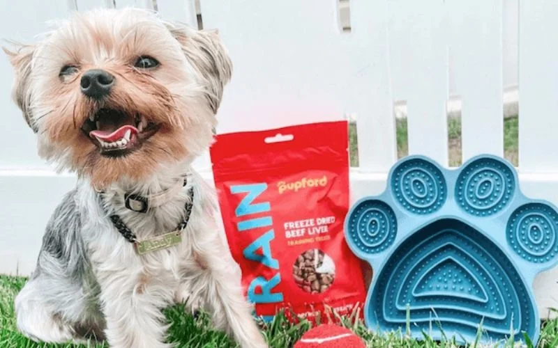 Clean and Maintain a Dog Food Mat