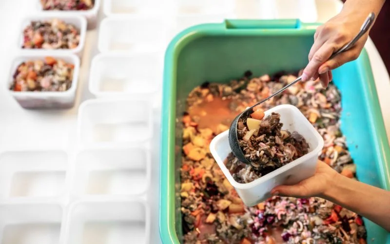 Homemade Dog Food