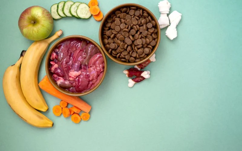 Common Ingredients in Dog Food