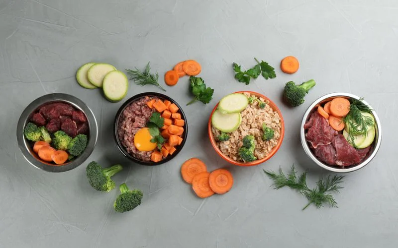 Natural Ingredients in Dog Food