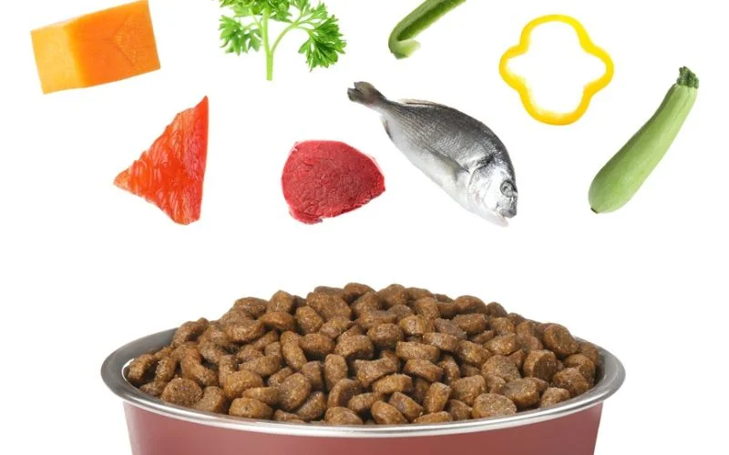 Nutritious Ingredients for Dogs