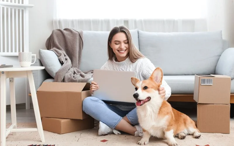 Delivery Schedule