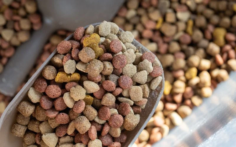 Allergenic Ingredients in Dog Food