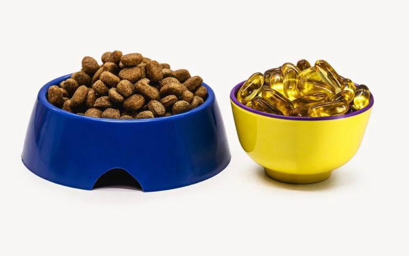 Can I Prevent Dog Food Allergies