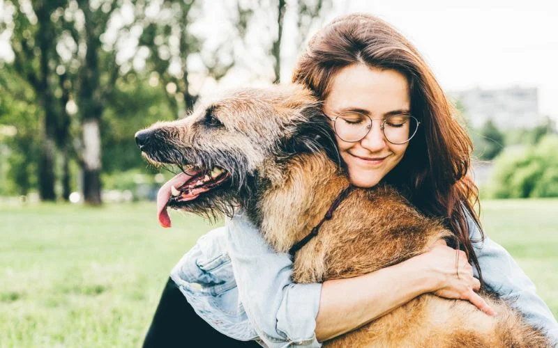 How Old is Your Dog