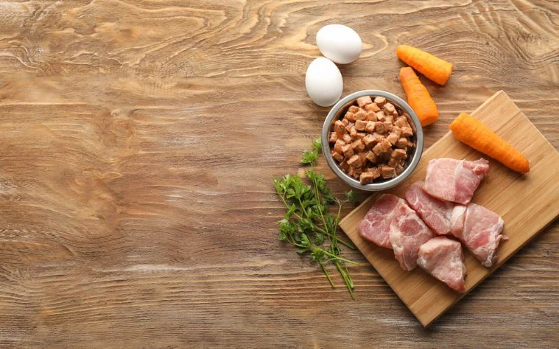 Dog Food for Sensitive Stomach