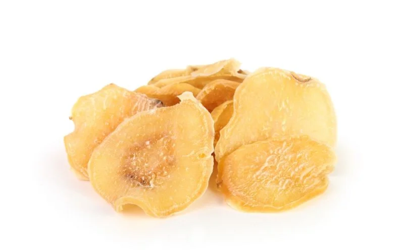 Best Sources of Fiber for Dogs