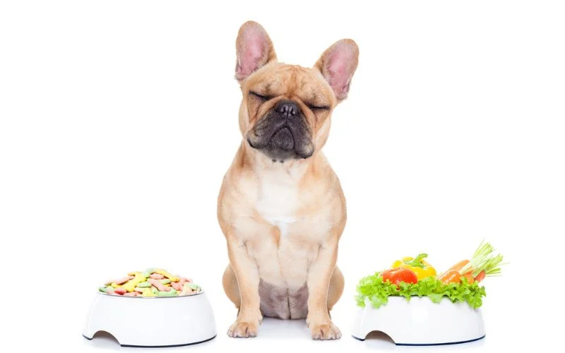 Any Side Effects of Feeding High-Fiber Dog Food