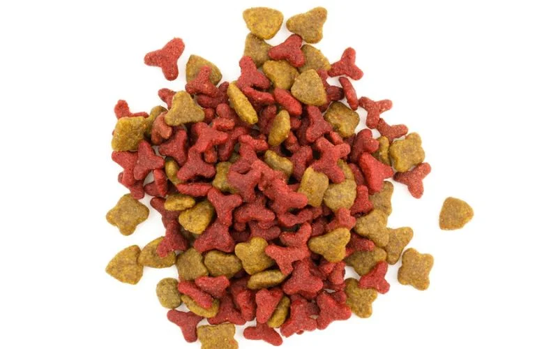 Dog Food for Sensitive Stomach