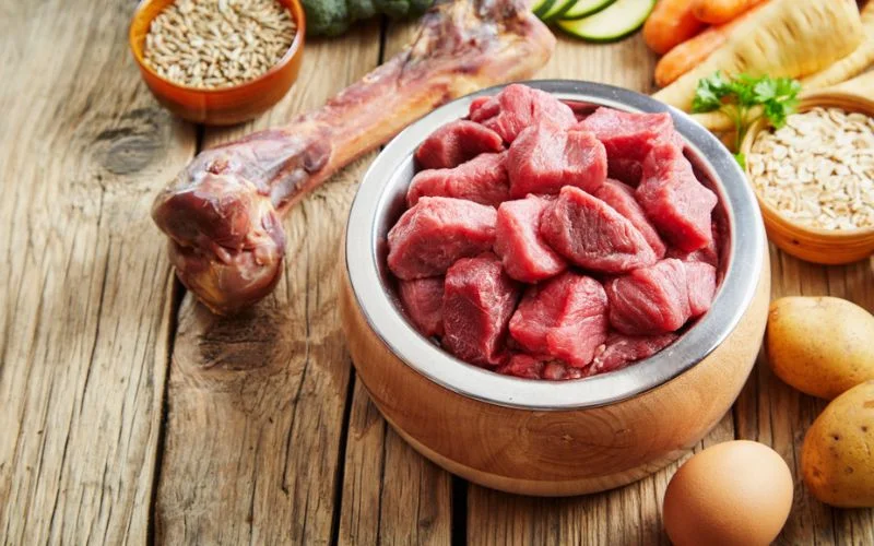 Hydrolyzed Protein Dog Food
