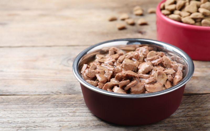 Protein Dog Food Suitable for All Dogs