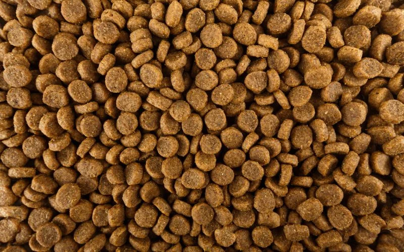 Hydrolyzed Protein Dog Food Work