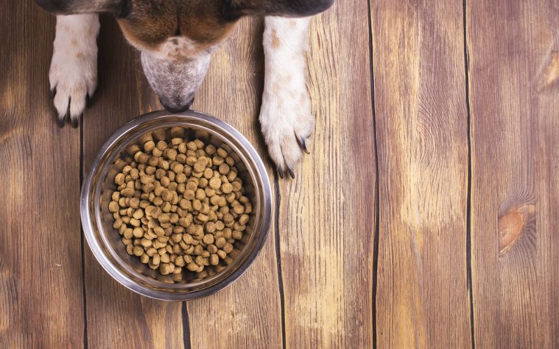 Weight Management Dog Food Suitable for All Dogs