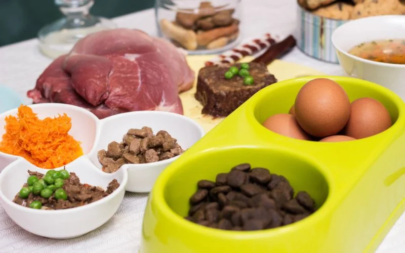 Homemade Food for Sensitive Stomachs