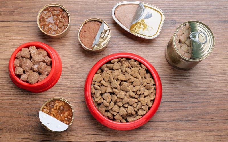 benefits to feeding canned food