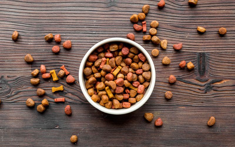 advantages of feeding dry food