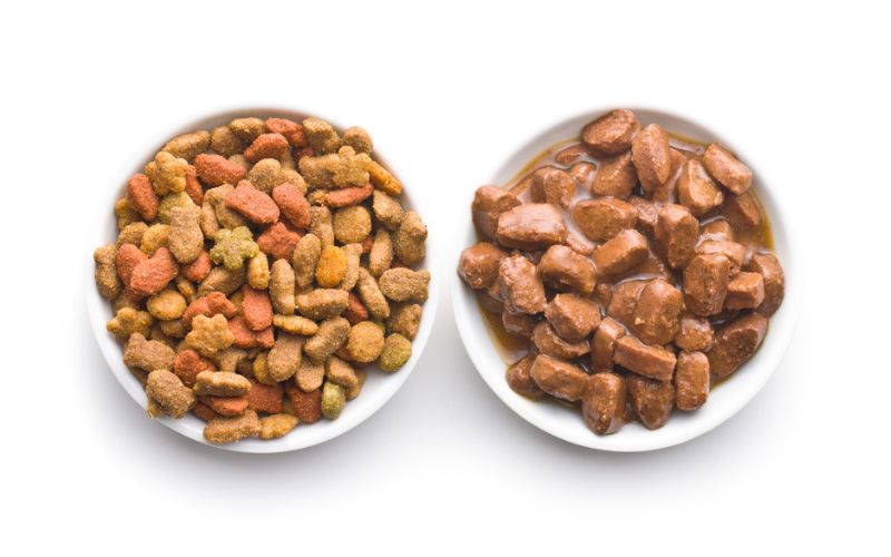 Which type of food is easier to store