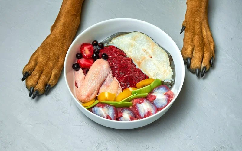 Hypoallergenic Dog Food
