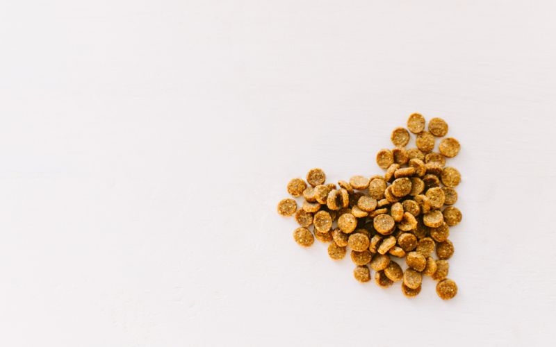 Right Hypoallergenic Dog Food