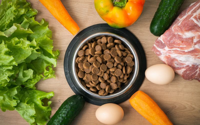 Hypoallergenic Dog Food Help with Allergies