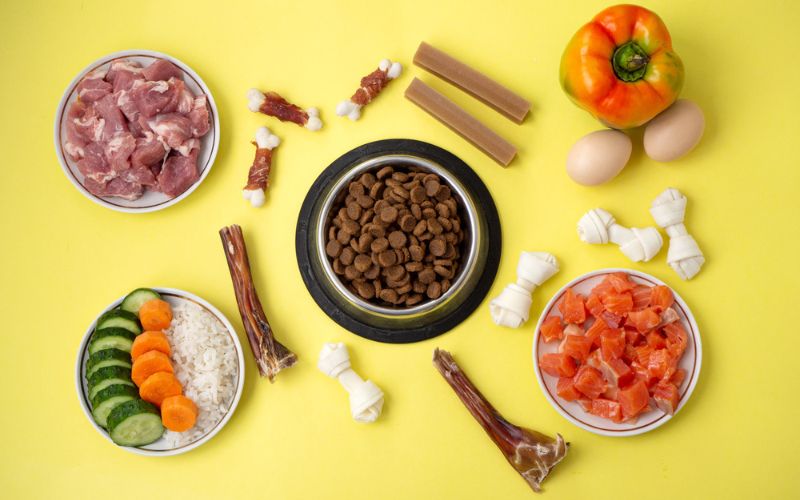 Ingredients Should I Look for in Hypoallergenic Dog Food
