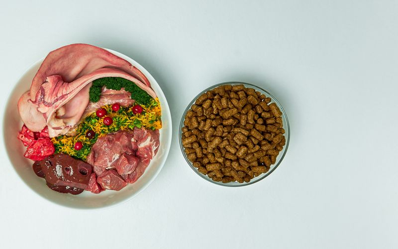 Dogs Eat Weight Loss Dog Food
