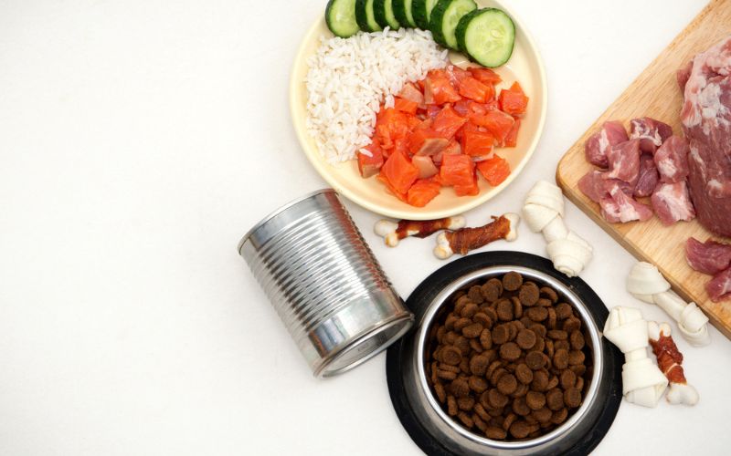 Hypoallergenic Dog Food Suitable for All Breeds