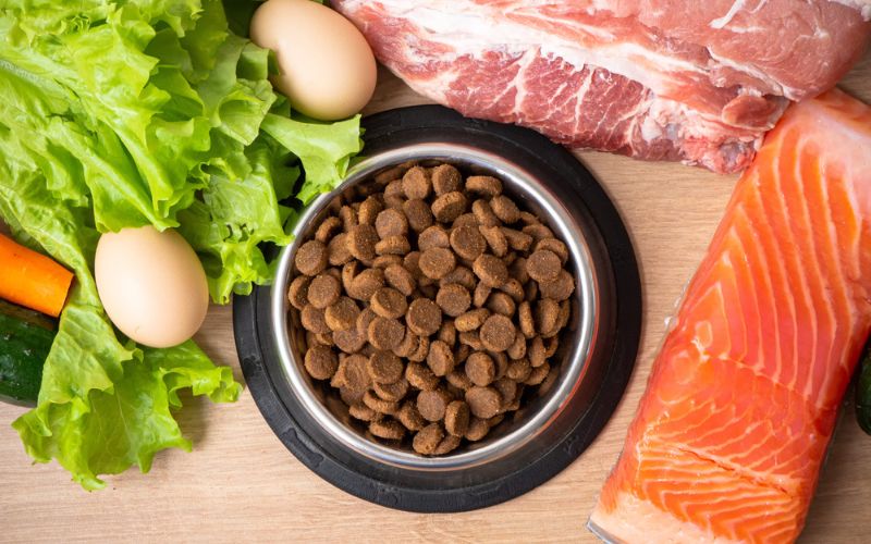 Hypoallergenic Dog Food Improve My Dog's Skin and CoatHypoallergenic Dog Food Improve My Dog's Skin and Coat