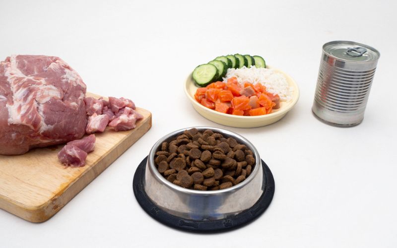 Results from Hypoallergenic Dog Food