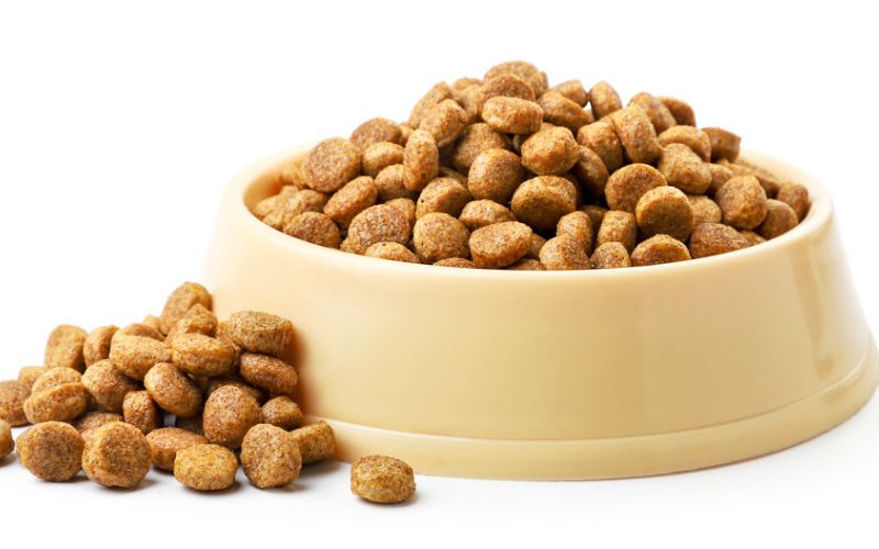 Right Weight Loss Dog Food