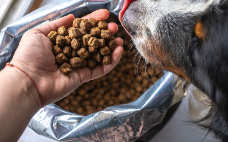Benefits of Weight Loss Dog Food