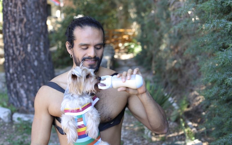 Puppy Milk