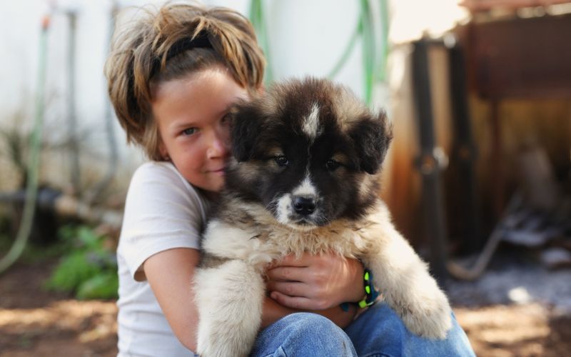 Puppies Drink Regular Cow's Milk