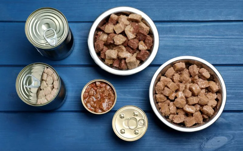 Best Wet Dog Food