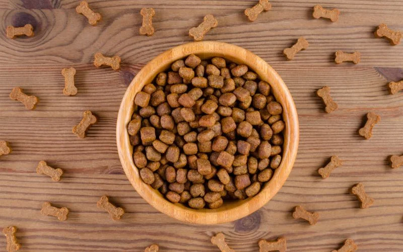 Benefits of Grain-Free Dog Food