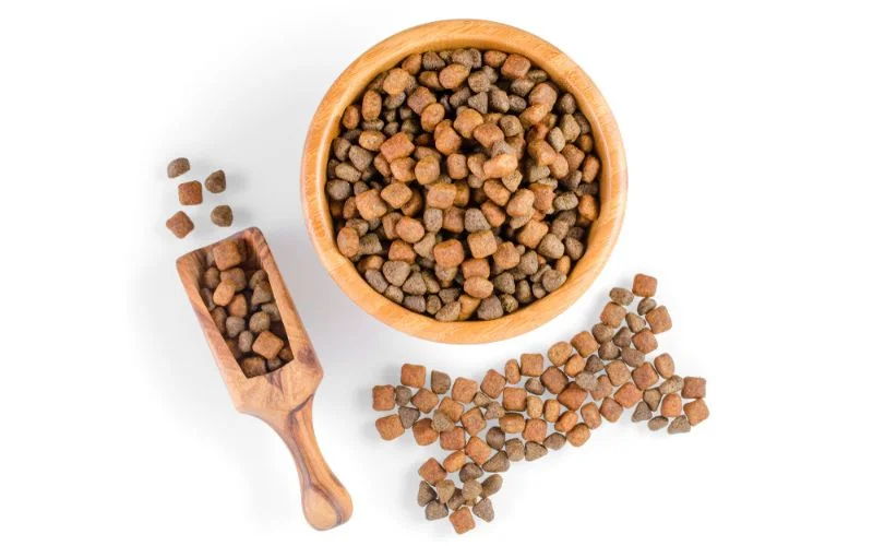 Risks Associated with Grain-Free Dog Food
