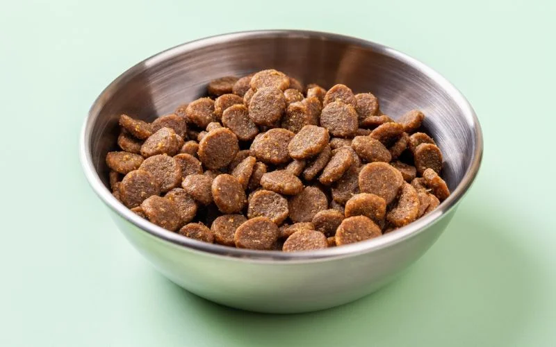 Grain-Free Dog Food Suitable for All Dogs