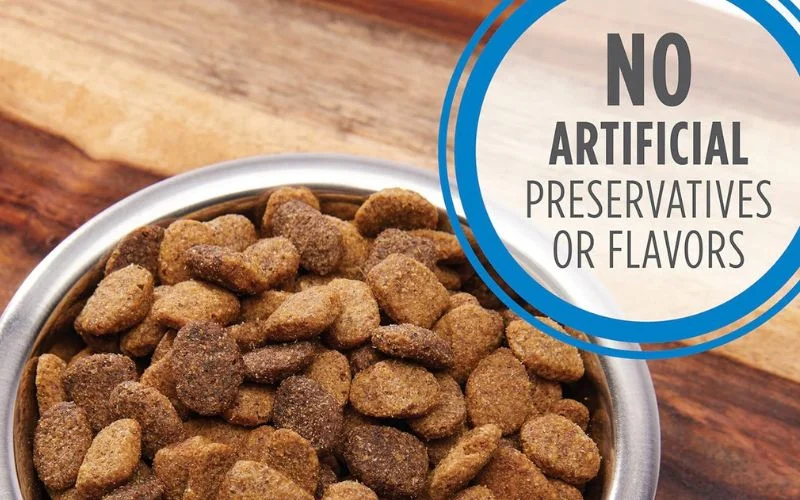 Brands of Grain Free Dog Food That You Recommend