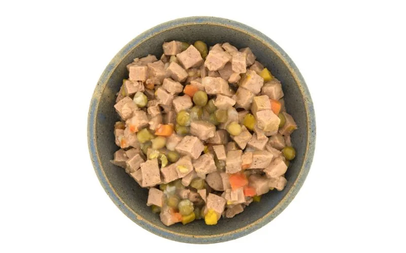 Grain-Free Dog Food Should I Feed My Dog