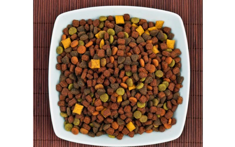 Grain-Free Dog Food More Expensive Than Regular Dog Food