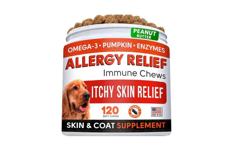 best dog food for skin allergies