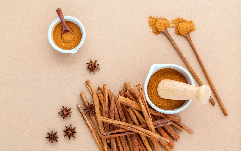 Is Cinnamon Safe for Dogs?