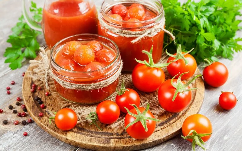 Can Dogs Eat Tomatoes?